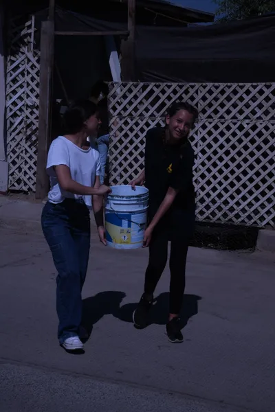 DSC_2033 (Large).JPG